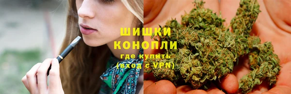 шишки Ладушкин