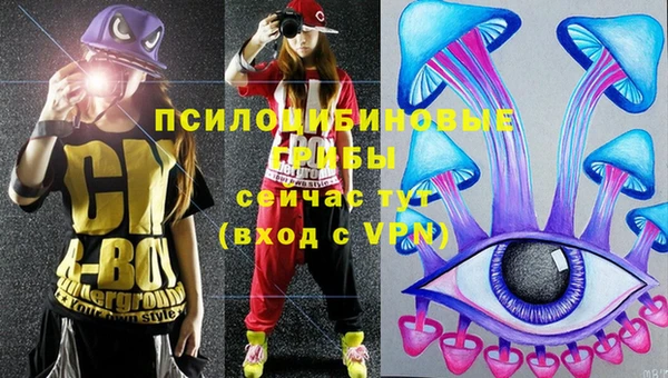 шишки Ладушкин