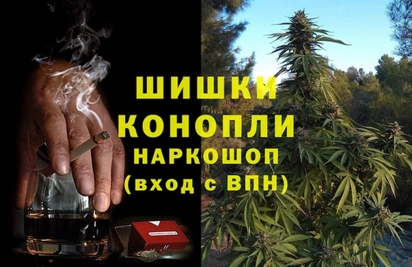 шишки Ладушкин