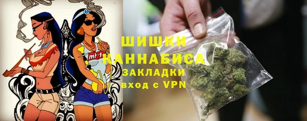 дживик Лагань